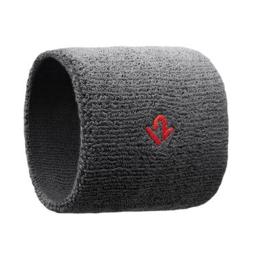 twelve south actionband for apple watch 4/5/6